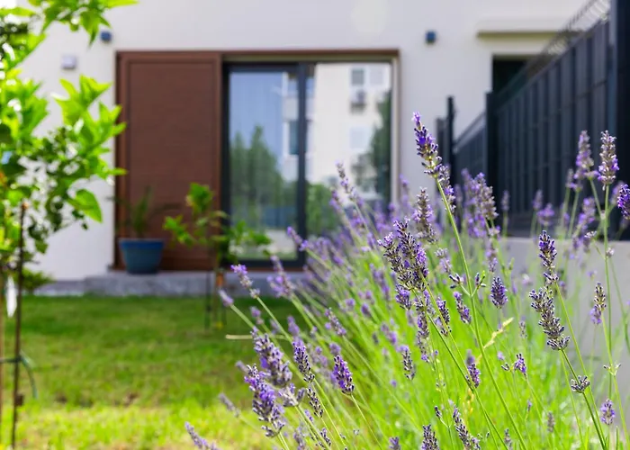 Gin Apartman Vranjic